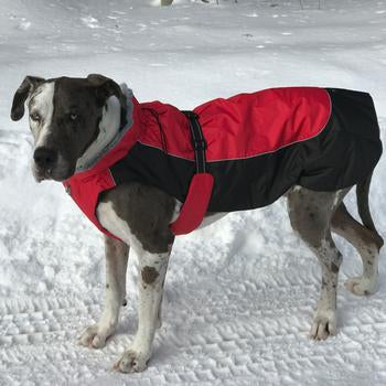 Alpine All-Weather Dog Coat by Doggie Design - Red and Black