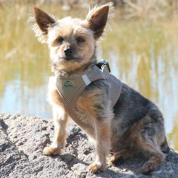 American River Ultra Choke-Free Mesh Dog Harness - Fossil Brown