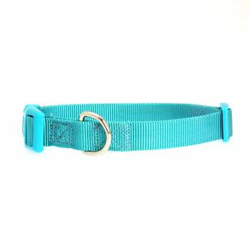 Nylon Dog Collar by Zack & Zoey - Bluebird