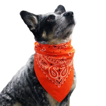 Paisley Dog Bandana - Orange