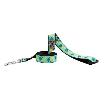 Pineapple Parade Dog Leash by RC Pet
