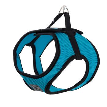 Step-in Cirque Dog Harness - Teal