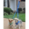 6 Way Multi-Function Dog Leash - Cobalt Blue