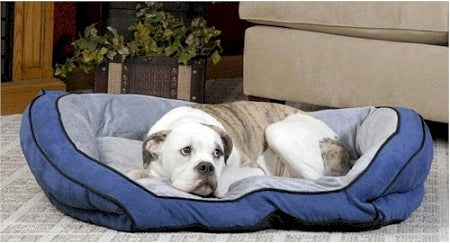 Bolster Pet Couch