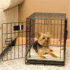 Self Warming Dog Crate Pad