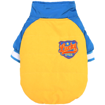 Dobaz Lucky Racer Dog Jacket - Yellow