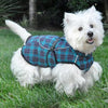 Alpine Flannel Dog Coat - Navy Blue and Turquoise Plaid