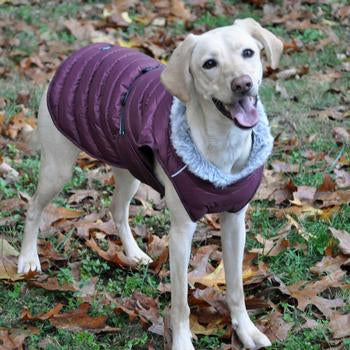 Alpine Extreme Weather Puffer Dog Coat by Doggie Design - Burgundy