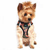 American River Camo Choke Free Dog Harness - Orange