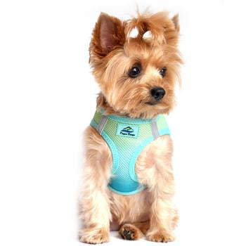 American River Choke-Free Dog Harness - Aruba Blue Ombre