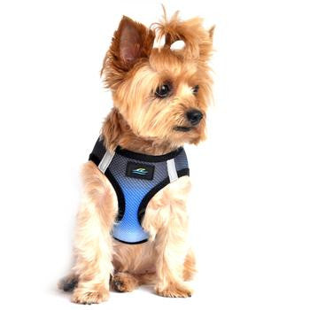 American River Choke-Free Dog Harness - Midnight Sky Ombre