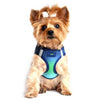 American River Choke-Free Dog Harness - Northern Lights Ombre