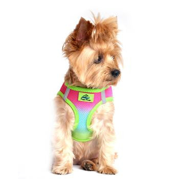 American River Choke-Free Dog Harness - Rainbow Ombre