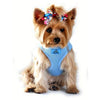 American River Ultra Choke-Free Mesh Dog Harness - Light Blue