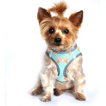 American River Neon Sport Choke-Free Dog Harness - Aruba Blue