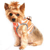 American River Neon Sport Choke-Free Dog Harness - Iridescent Orange