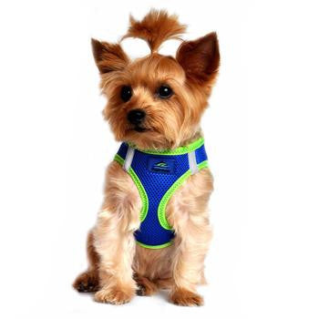 American River Top Stitch Dog Harness - Cobalt Blue