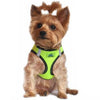 American River Top Stitch Dog Harness - Iridescent Green