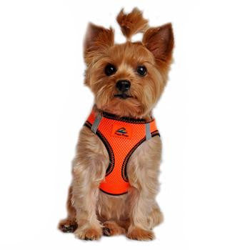 American River Top Stitch Dog Harness - Iridescent Orange