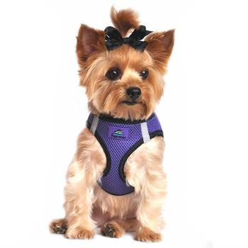 American River Top Stitch Dog Harness - Ultra Violet