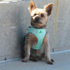 American River Ultra Choke-Free Mesh Dog Harness - Teal