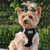 American River Ultra Choke-Free Mesh Dog Harness - Black