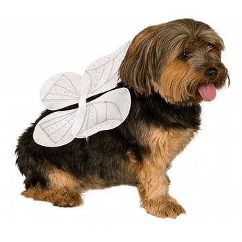 Angel Wings Dog Costume - White