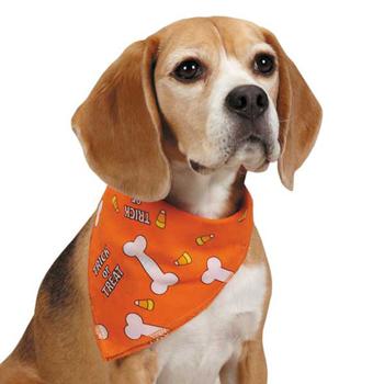 Aria Trick or Treat Dog Bandana - Orange