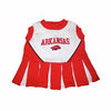 Arkansas Cheerleader Dog Dress