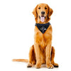 Baltimore Ravens Tie On Dog Bandana