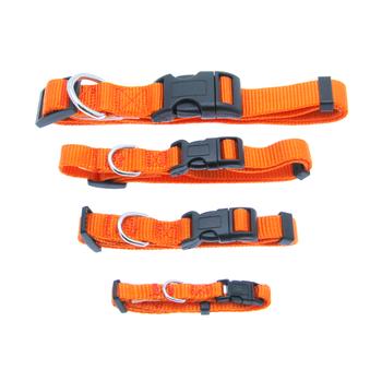 Barking Basics Dog Collar - Orange