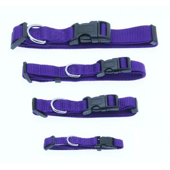 Barking Basics Dog Collar - Purple