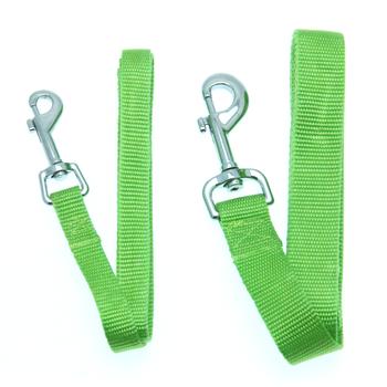 Barking Basics Dog Leash - Green