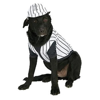 Baseball Player Dog Halloween Costume