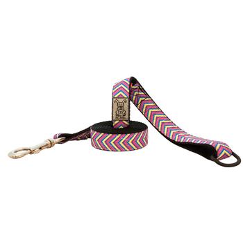 BFF Dog Leash by RC Pet