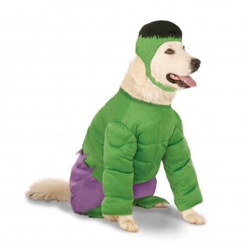 Big Dog Marvel Incredible Hulk Dog Costume