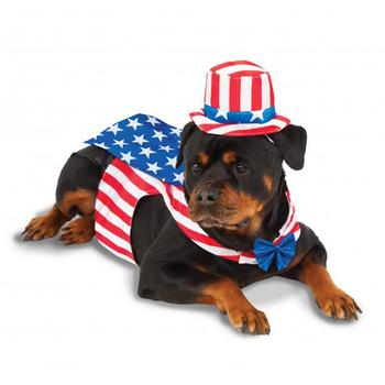 Big Dog Uncle Sam Dog Costume