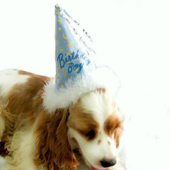 Birthday Boy Party Hat