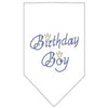 Birthday Boy Rhinestone Dog Bandana - White