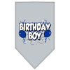 Birthday Boy Screen Print Dog Bandana - Gray