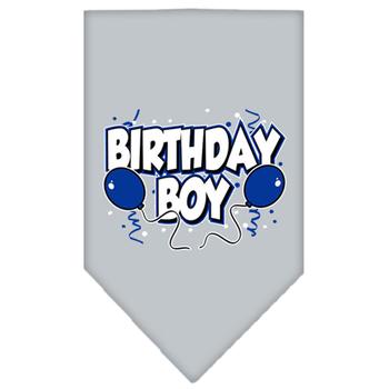 Birthday Boy Screen Print Dog Bandana - Gray