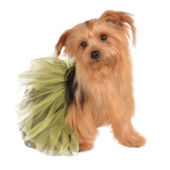 Black and Yellow Dog Tutu