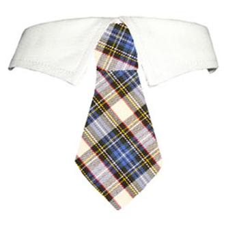 Blake Dog Shirt Collar and Tie - Blue and Yellow Plaid