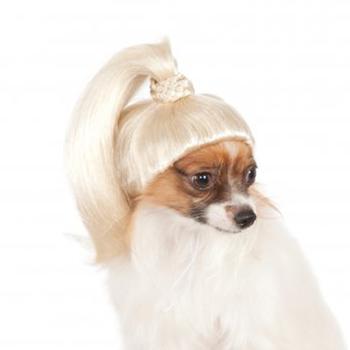 Blonde Ponytail Dog Costume