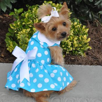 Blue Polka Dot Dog Dress with Matching Leash by Doggie Design