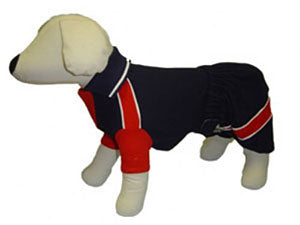 Blue and Red Dog Polo Outfit Set