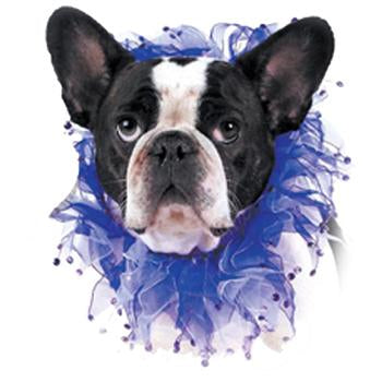 Blue Rhinestone Dog Neck Scrunchy