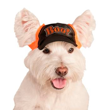 Boo Halloween Baseball Dog Cap