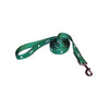 Boston Celtics Dog Leash