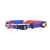 Buffalo Bills Dog Collar - Bright Blue